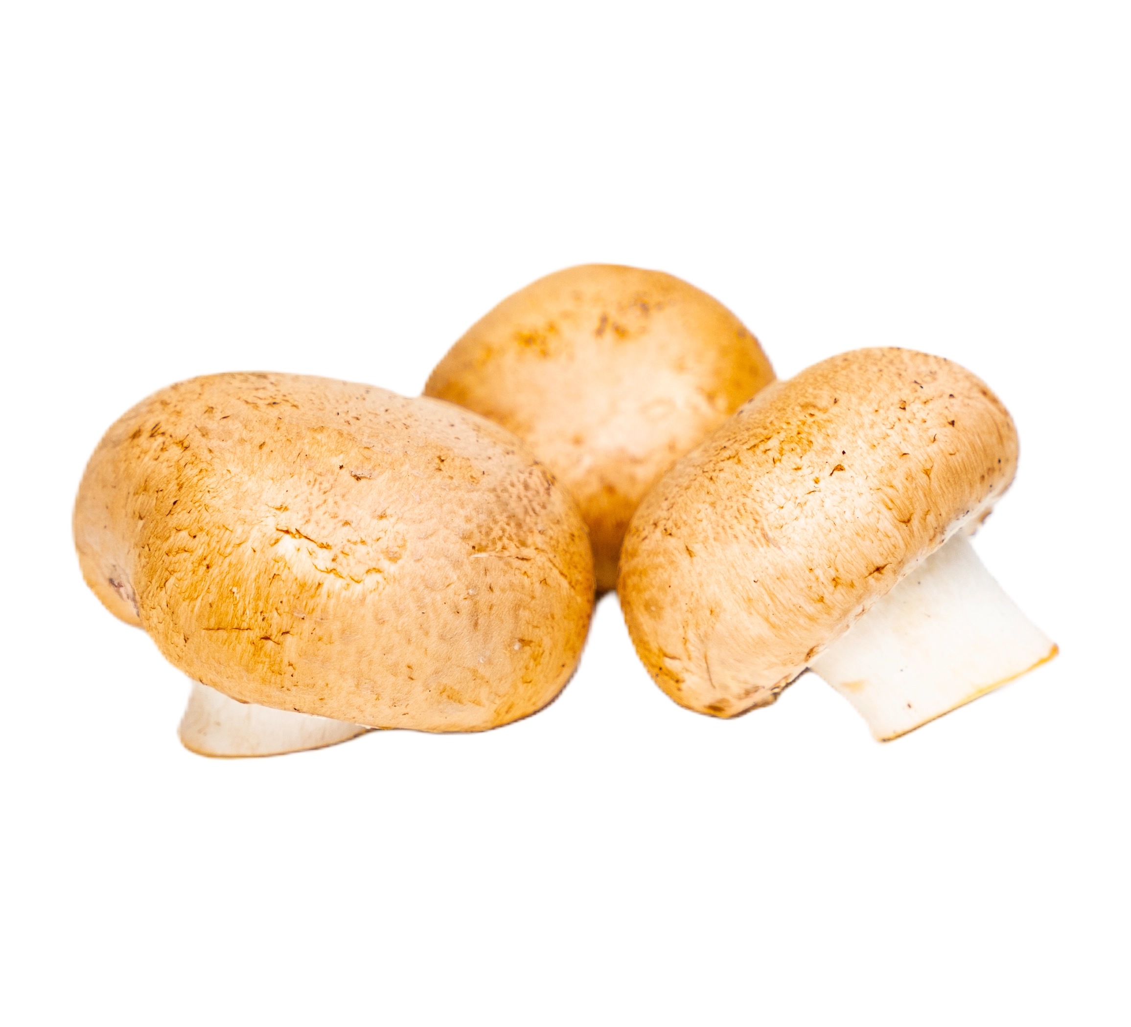 Crimini No Back White Button Mushrooms